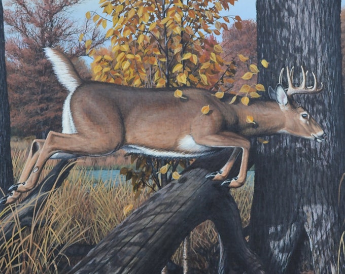 Wildlife Painting - "Beans Eddy Buck" (Poster)